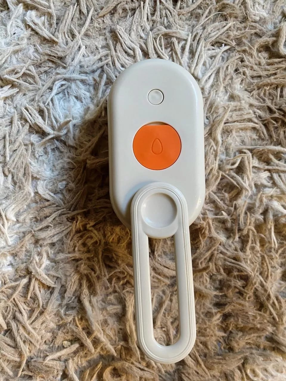 WhatsApp Image 2026-01-13 at 03.49.13